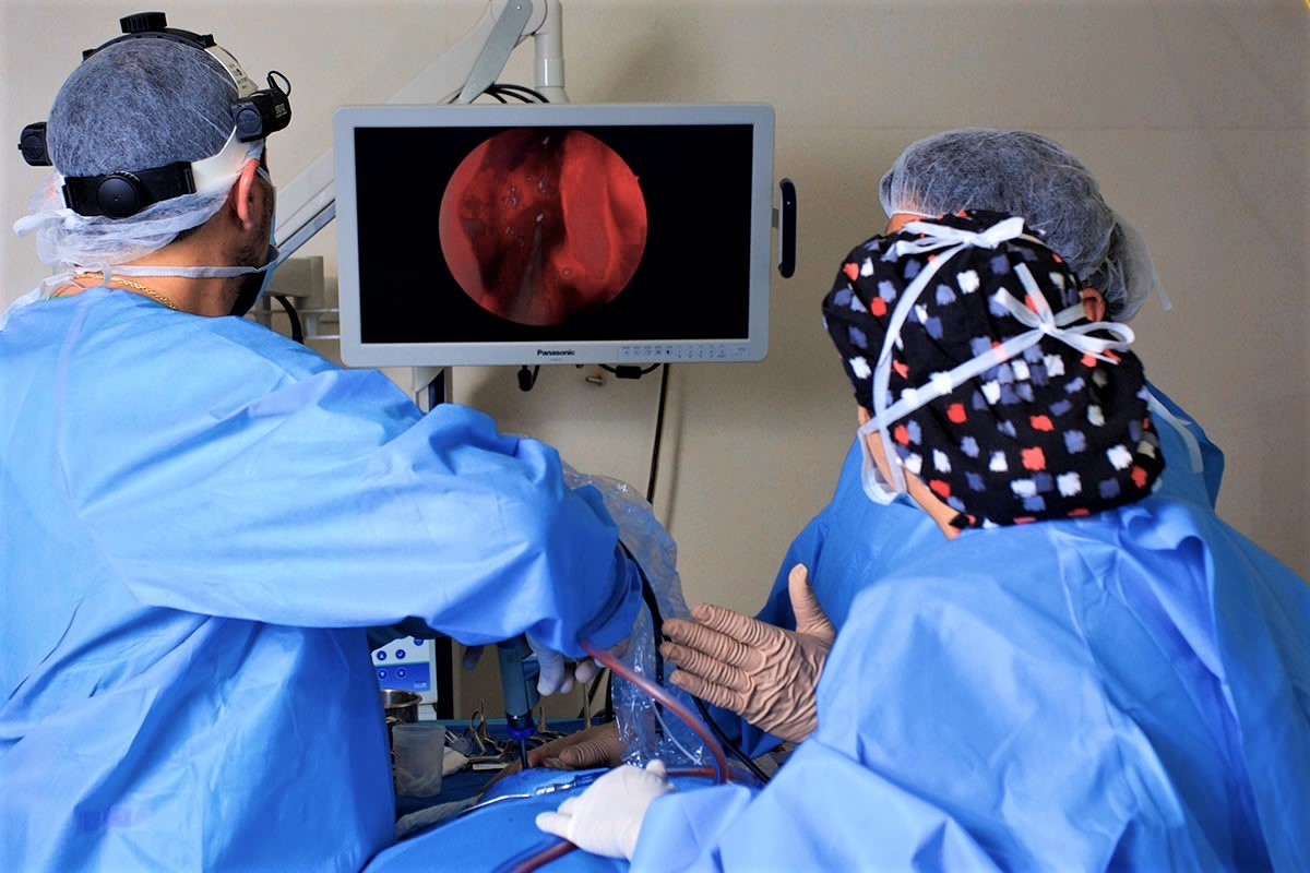 Dr. José Prieto · Otorrinolaringólogo · Calama · Antofagasta  | Chile